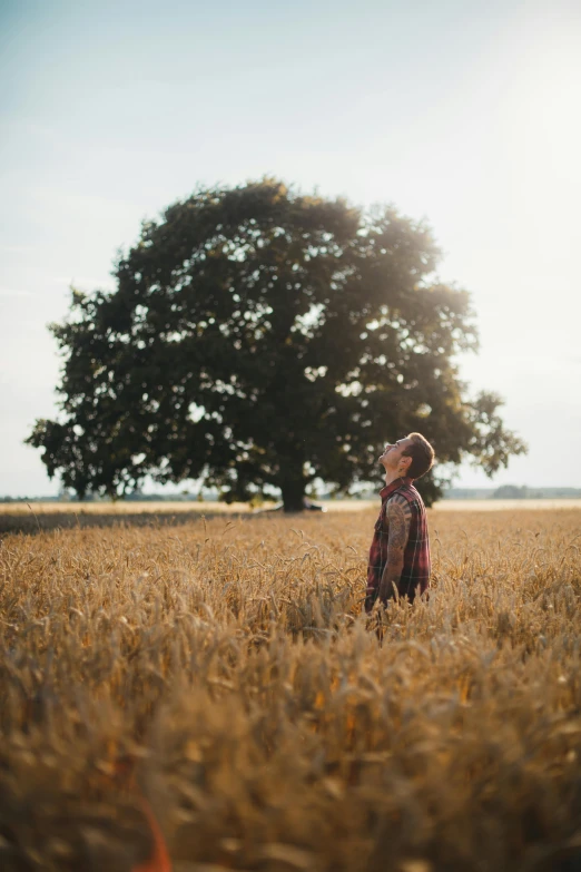 a man standing in a field with a tree in the background, by Jessie Algie, unsplash contest winner, symbolism, girl standing, england, harvest, brightly lit