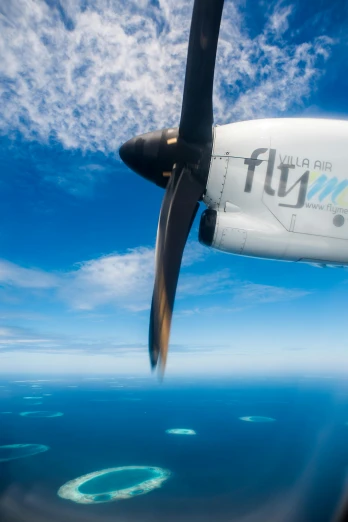 an airplane that is flying over some water, by Julian Allen, hurufiyya, up close shot, great barrier reef, slide show, hairs fluttering on the wing