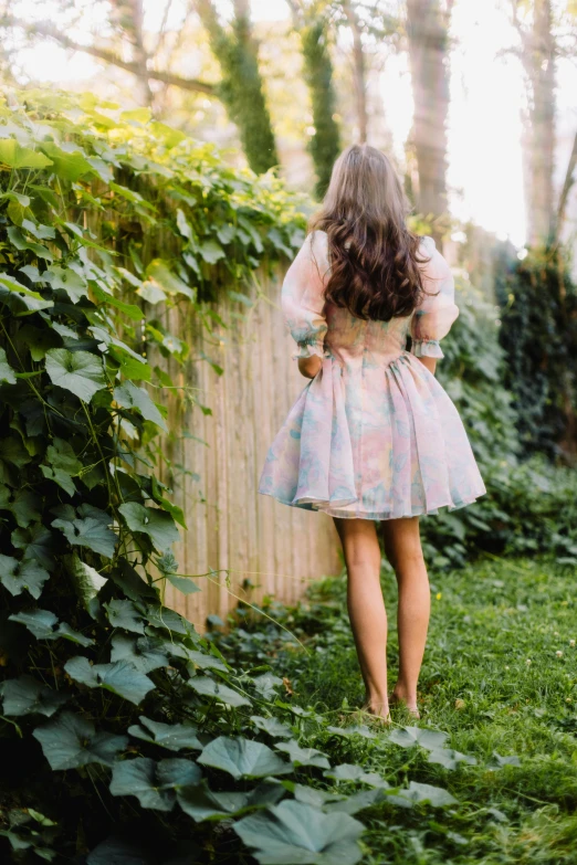 a woman standing on top of a lush green field, an album cover, by Alexis Simon Belle, renaissance, plethora of colors ; mini dress, prima ballerina in rose garden, medium shot taken from behind, translucent