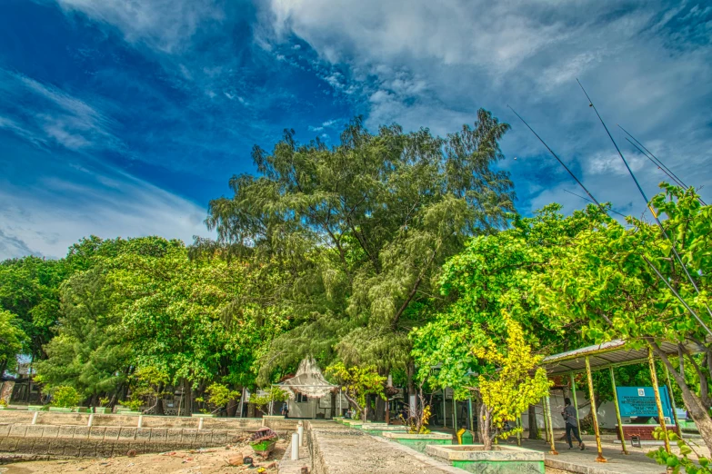 a dirt road surrounded by trees on a sunny day, a portrait, unsplash, vietnamese temple scene, hdr photo, panoramic, old cemetery