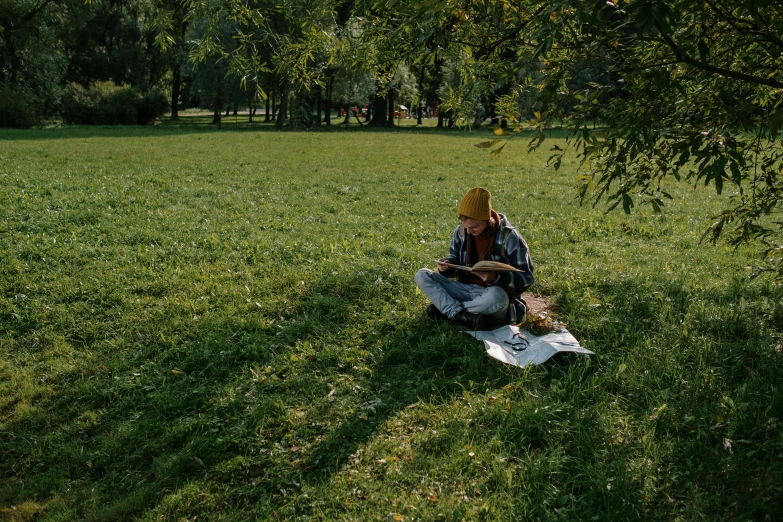 a man sitting in the grass reading a book, a painting, by Attila Meszlenyi, pexels contest winner, plein air, panoramic shot, in the park, artist wearing overalls, 15081959 21121991 01012000 4k