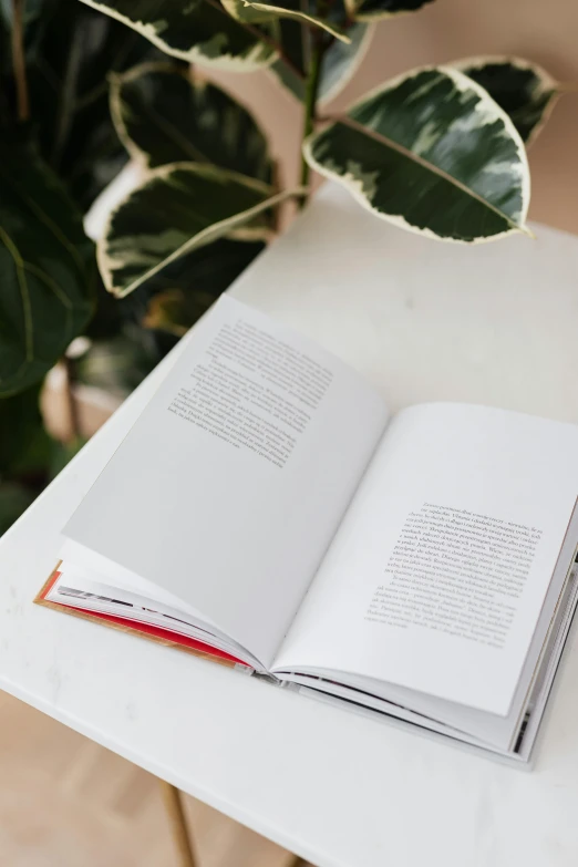 an open book sitting on top of a white table, next to a plant, looking towards camera, upclose, less detailing