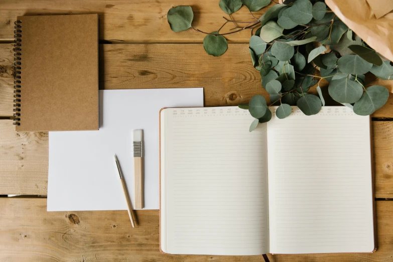 an open notebook sitting on top of a wooden table, by Carey Morris, pexels contest winner, eucalyptus, greenery, cardstock, overview