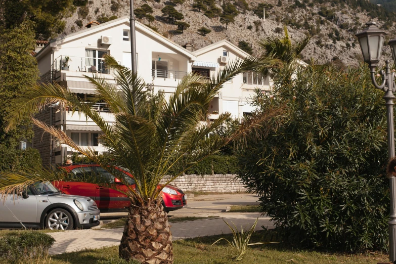 a red car parked in front of a white house, unsplash, photorealism, croatian coastline, a palm tree, 4 k cinematic still, square