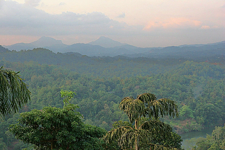 a couple of elephants standing on top of a lush green field, by Carey Morris, sumatraism, sunset in a valley, kerala village, ad image, round-cropped