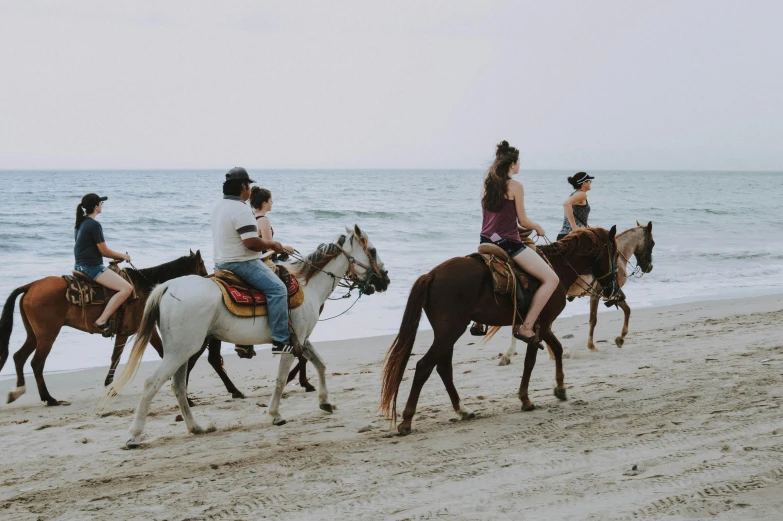 a group of people riding horses on a beach, pexels contest winner, renaissance, 🦩🪐🐞👩🏻🦳, rex orange county, profile image, flat lay