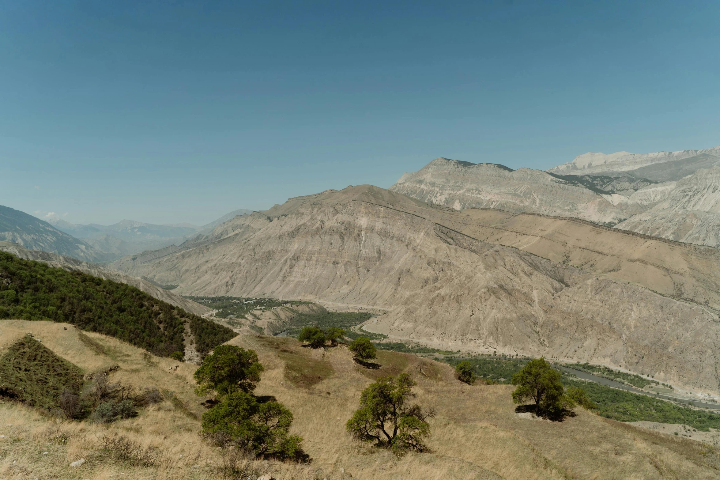 a group of trees sitting on top of a grass covered hillside, by Muggur, pexels contest winner, les nabis, canyon topography, boka, 4 k cinematic panoramic view, pre - historic