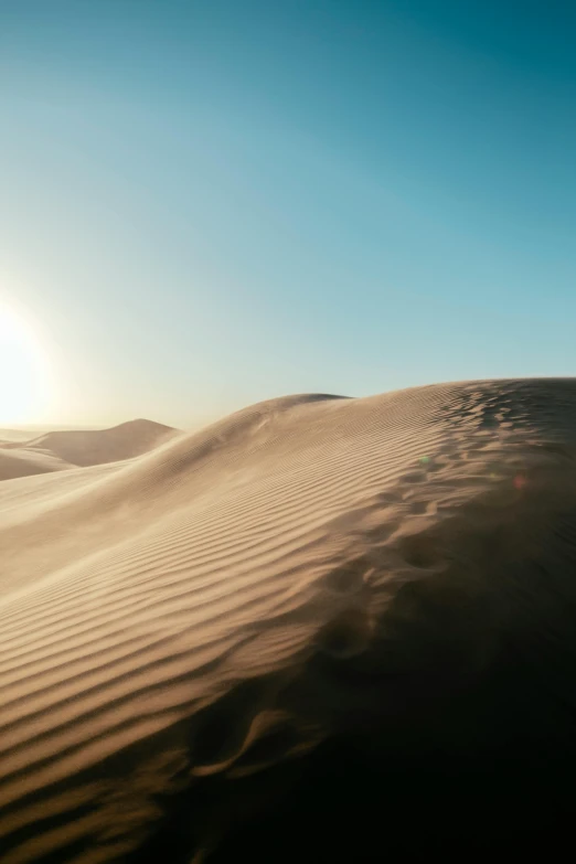 a person standing on top of a sand dune, trending on unsplash, intense sunlight, mexican desert, 500px, rippling