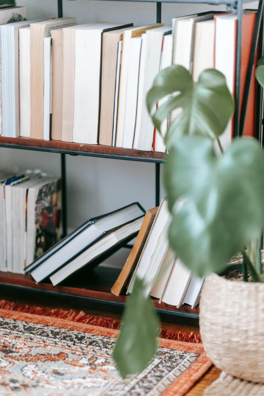 a bookshelf filled with lots of books next to a potted plant, an album cover, trending on pexels, detailed product image, apartment of an art student, medium close up shot, inspect in inventory image