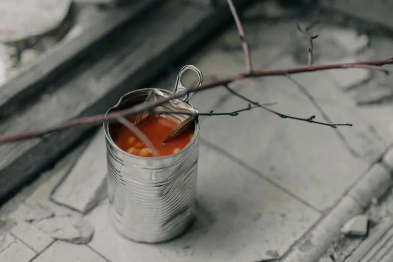 a can of soup sitting on top of a window sill, inspired by Elsa Bleda, pexels contest winner, tomatoes hanging on branches, on grey background, spoon placed, carefully crafted