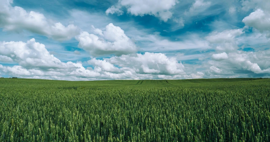 a green field with clouds in the sky, unsplash, renaissance, high grain, multiple stories, big sky, instagram post