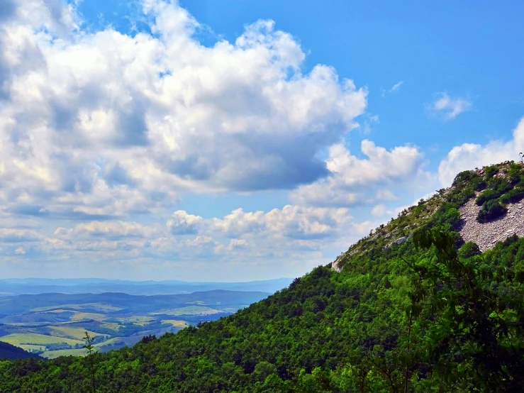 a couple of cows standing on top of a lush green hillside, pexels contest winner, renaissance, william penn state forest, panorama view of the sky, looking down a cliff, today\'s featured photograph 4k