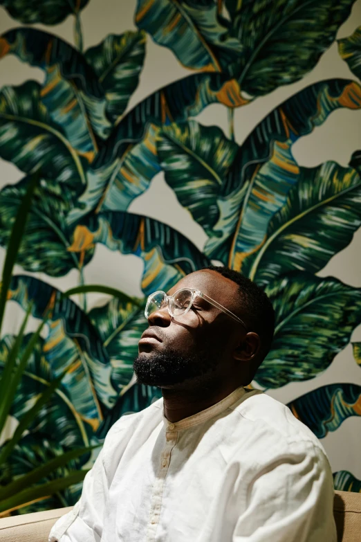 a man sitting on top of a couch next to a plant, an album cover, inspired by Barthélemy Menn, pexels contest winner, figuration libre, wearing gold glasses, jaylen brown, profile image, looking from side