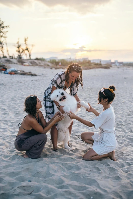 a group of women sitting on top of a sandy beach, a dog, during a sunset, profile image, playful pose