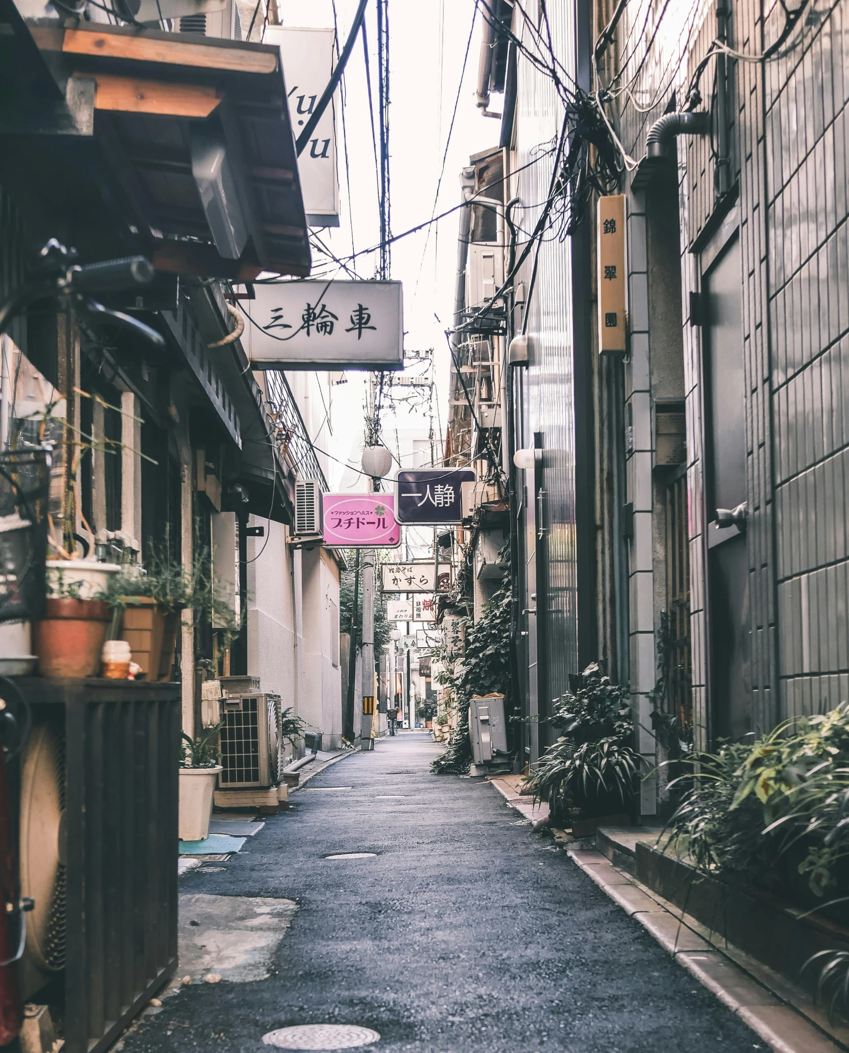 a narrow alley with potted plants on either side of the road, by Carey Morris, trending on unsplash, ukiyo-e, vintage photo, storefronts, multiple stories, ethnicity : japanese