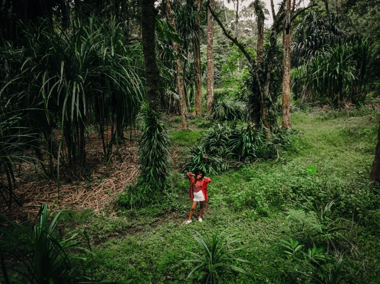 a woman standing in the middle of a lush green forest, sumatraism, in sao paulo, instagram photo, kids, a single