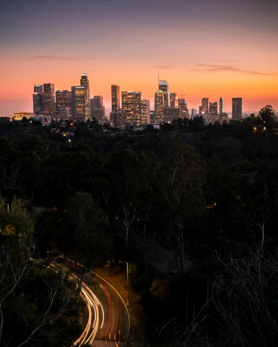 a view of a city from the top of a hill, by Seb McKinnon, unsplash contest winner, los angelos, city lights made of lush trees, binary sunset, high rises