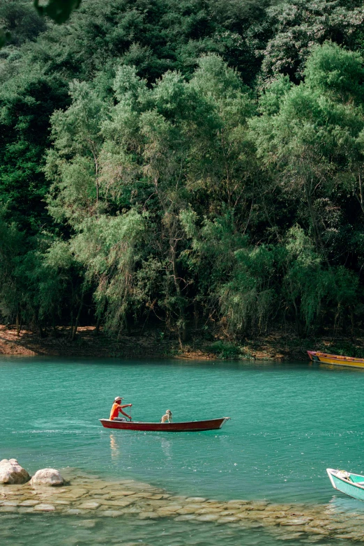 a couple of boats that are in the water, pexels contest winner, green grasse trees and river, slim aarons, slovakia, children's