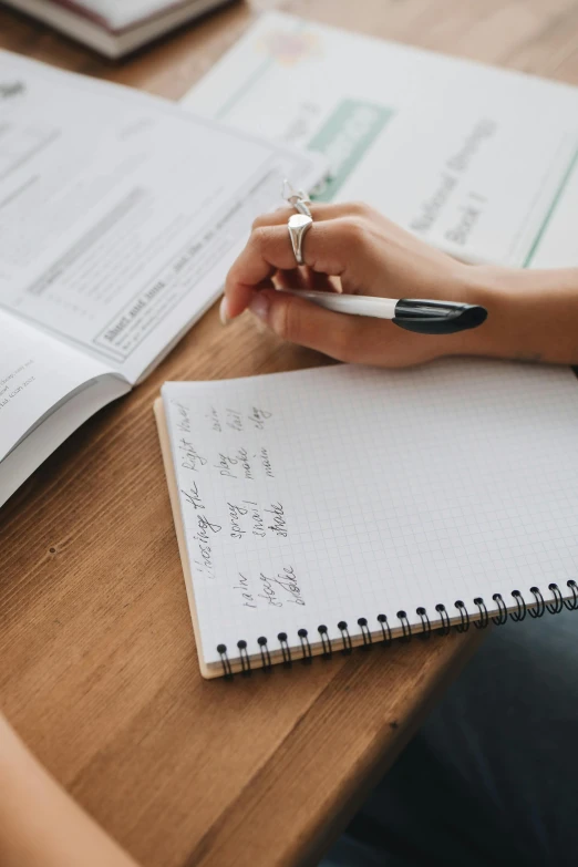 a person sitting at a table with a notebook and pen, detailed plans and notes, thumbnail, inspect in inventory image, educational supplies