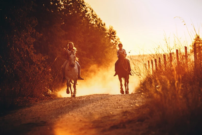 two people riding horses down a dirt road, by Lee Loughridge, unsplash contest winner, renaissance, golden hour 8k, cavalry charge, country style, bathed in golden light