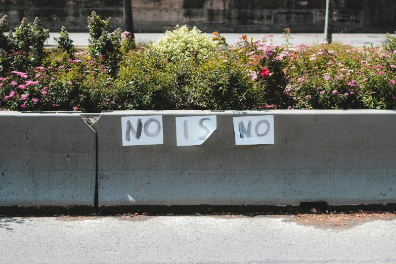 a no parking sign sitting on the side of a road, by Alexis Grimou, trending on unsplash, graffiti, the non-binary deity of spring, banners, 🚿🗝📝, protesters holding placards