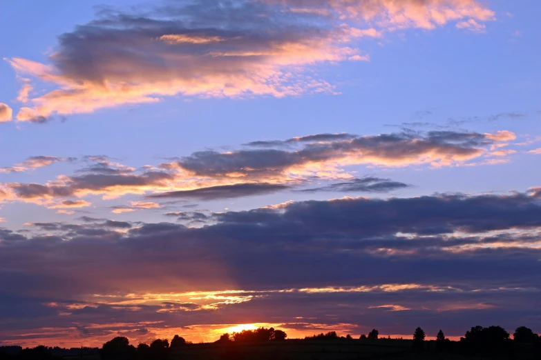 a couple of cows standing on top of a lush green field, by Ian Fairweather, pexels contest winner, romanticism, sunset panorama, altostratus clouds, purple sunset, ((sunset))