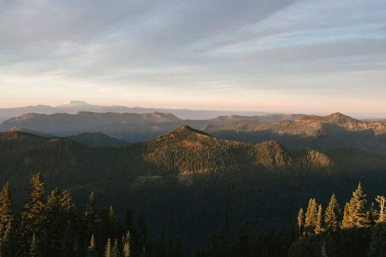 a view of the mountains from the top of a mountain, by Jessie Algie, unsplash contest winner, renaissance, oregon, late summer evening, ultrawide landscape, redwood forest