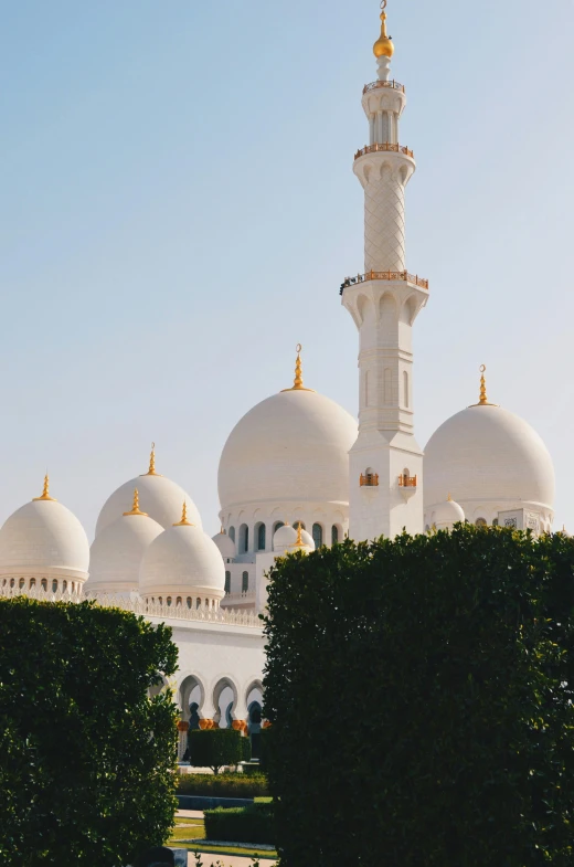 a large white building sitting in the middle of a lush green park, inspired by Sheikh Hamdullah, pexels contest winner, arabesque, domes, golden towers, with palm trees in the back, shadows