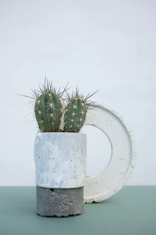 a close up of a pot with a cactus in it, a marble sculpture, inspired by Hendrik Gerritsz Pot, concrete art, enso, with a long white, high textured, a small