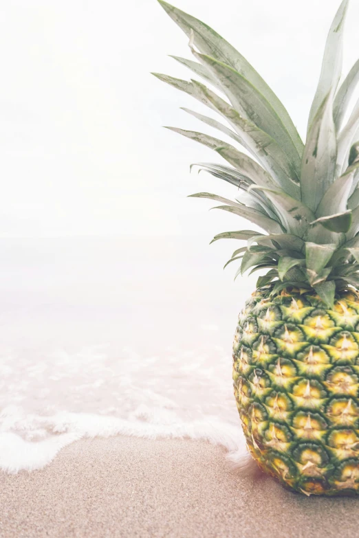 a pineapple sitting on top of a sandy beach, on the ocean, ocean view, up-close, standing beside the ocean