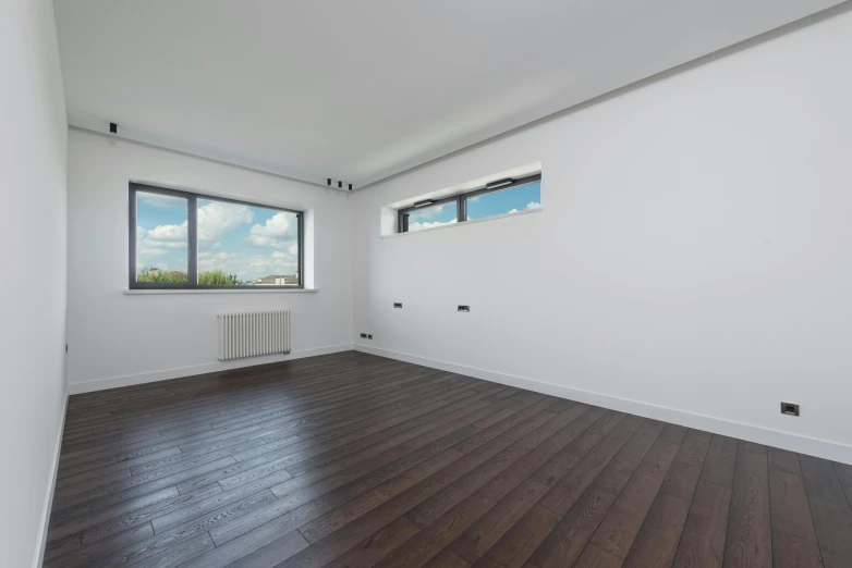 an empty room with wood floors and white walls, a minimalist painting, zenith view, detailed product image, no furniture, room mono window