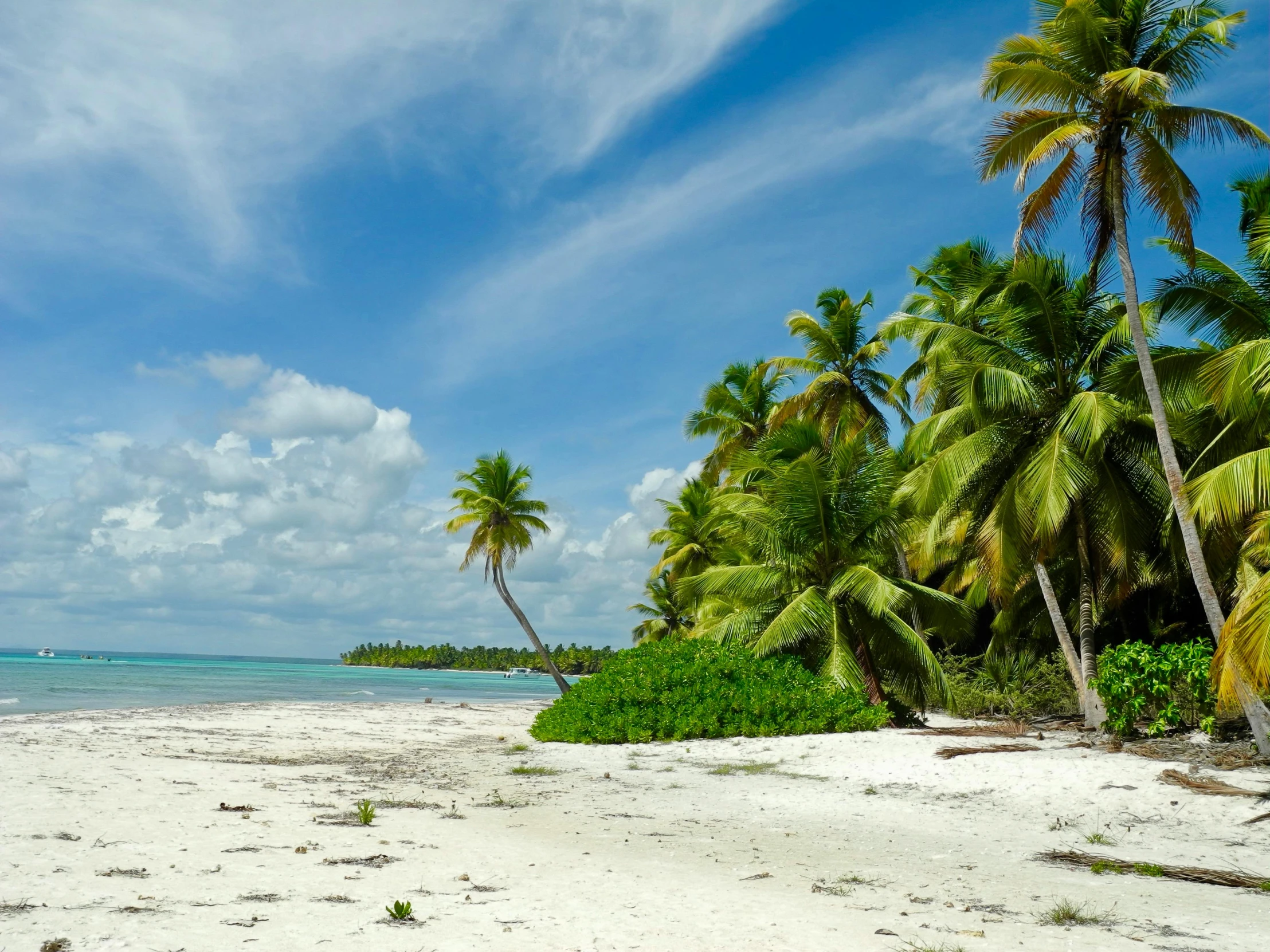 a sandy beach with palm trees on a sunny day, pexels contest winner, carribean white sand, thumbnail, a green, 8 k -