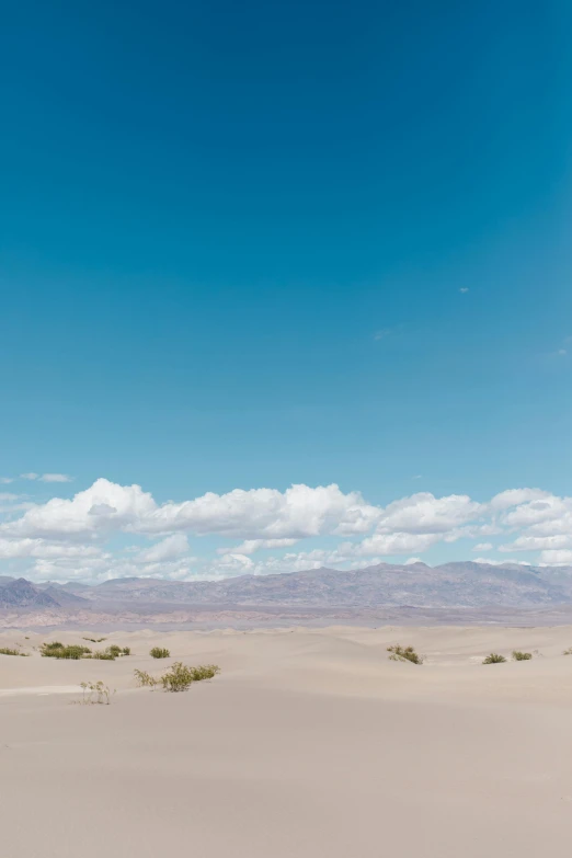 a man riding a surfboard on top of a sandy beach, unsplash, land art, death valley, an expansive grassy plain, iso 1 0 0 wide view, video