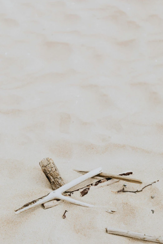 a couple of sticks sitting on top of a sandy beach, unsplash, minimalism, low quality photo, bone and ivory, background image, scattered