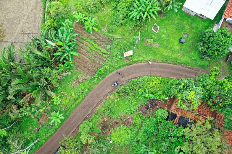 a dirt road running through a lush green forest, by Daniel Lieske, happening, villagers busy farming, top-down shot, big island, instagram post