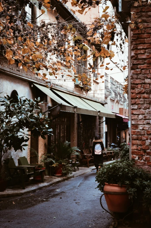 a man riding a bike down a street next to tall buildings, a colorized photo, inspired by Elsa Bleda, pexels contest winner, renaissance, plants and patio, cyprus, cozy cafe background, in an alley