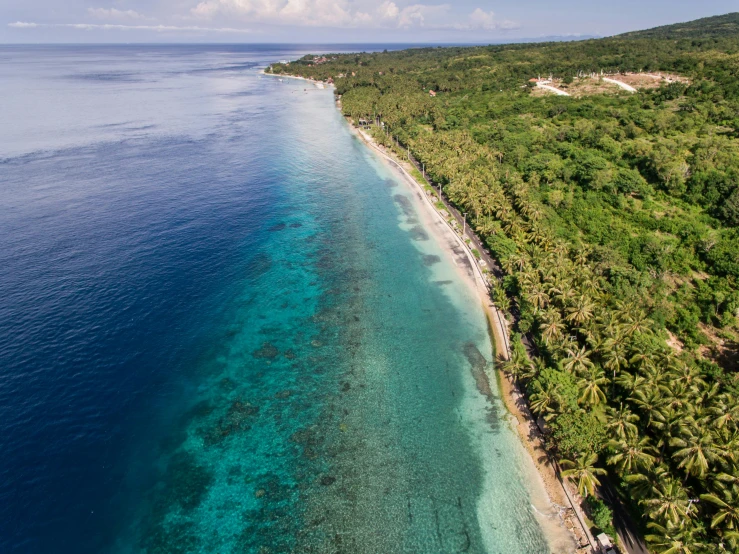 an aerial view of a beach surrounded by palm trees, coral reef, sasai ukon masanao, view of the ocean, jamie reid