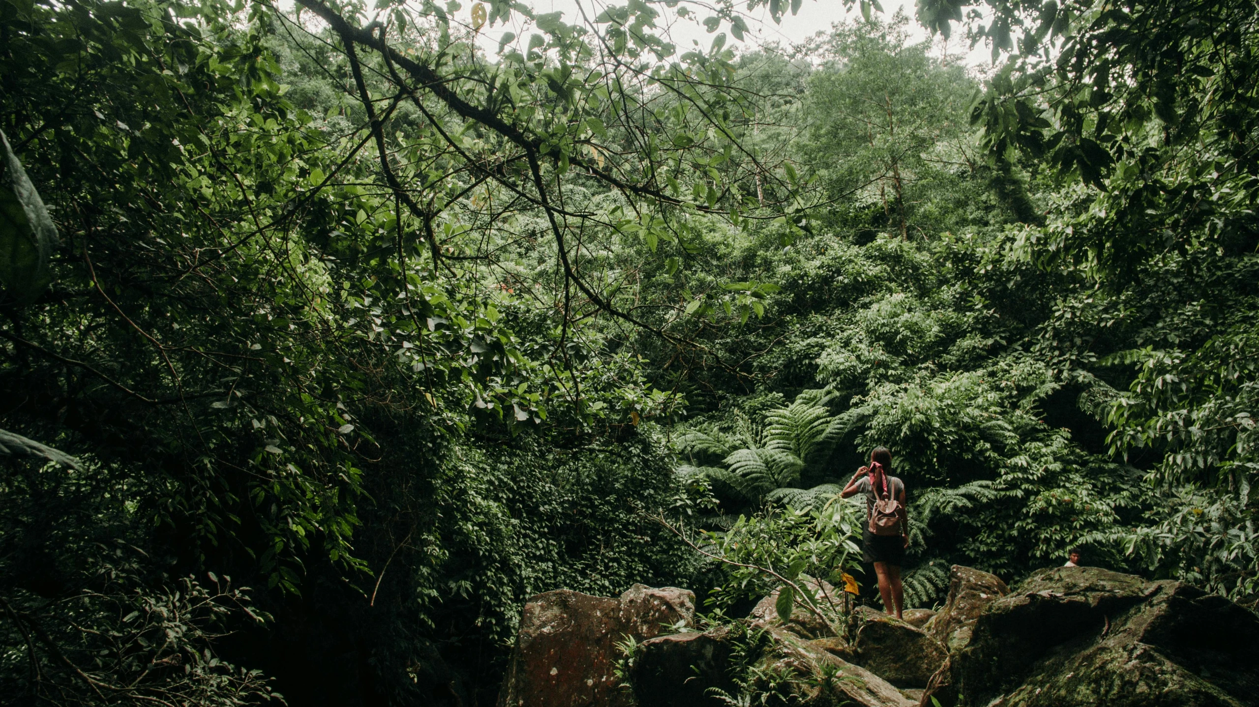 a man riding a bike through a lush green forest, by Emma Andijewska, unsplash contest winner, sumatraism, standing on rocky ground, archways made of lush greenery, girl walking on cliff, hiking clothes