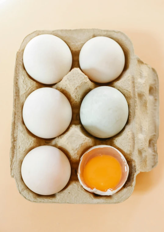 a carton filled with eggs sitting on top of a table, pastel glaze, 6 pack, high grain, fan favorite