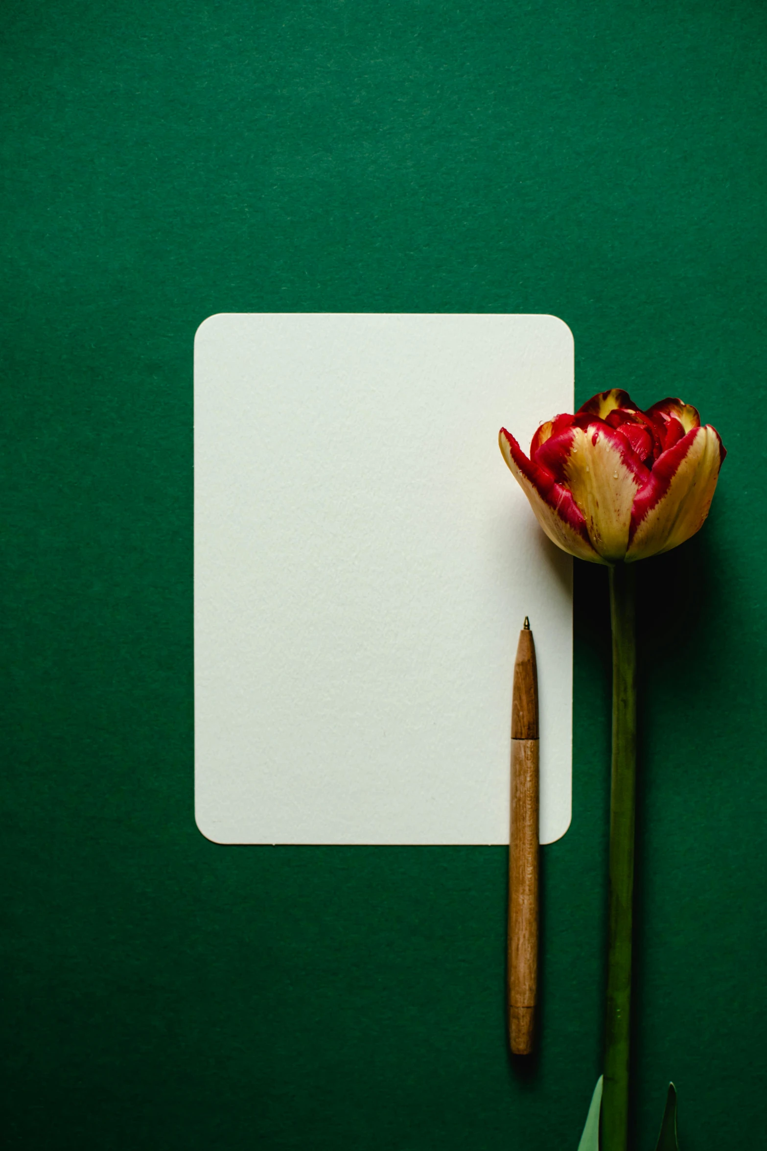 a flower that is next to a piece of paper, square, background image, card art, trending photo