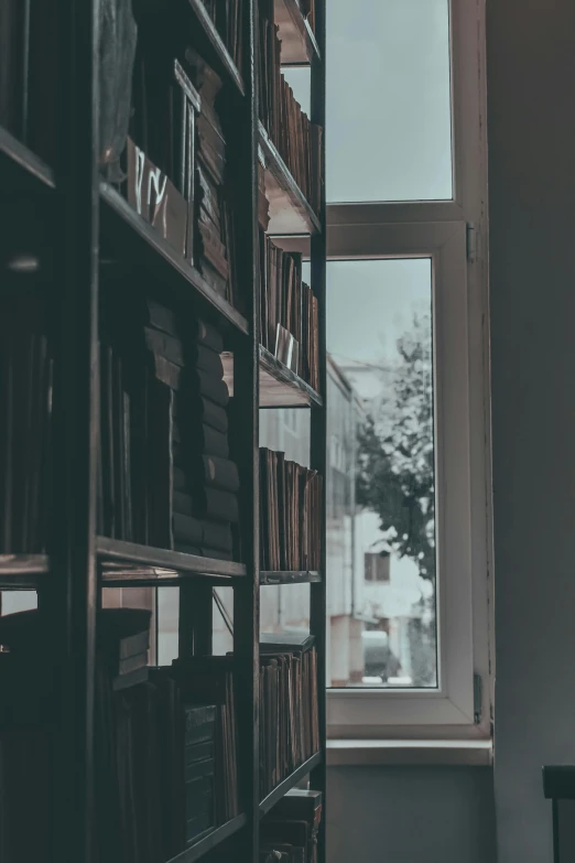 a bookshelf filled with lots of books next to a window, a black and white photo, inspired by Elsa Bleda, unsplash contest winner, beige and dark atmosphere, dark university aesthetic, instagram story, background image