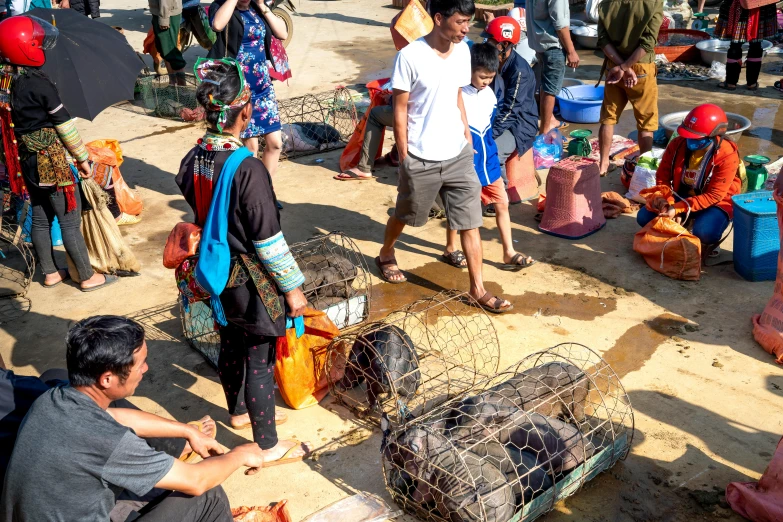 a group of people standing around a bunch of cages, pexels contest winner, hurufiyya, fish seafood markets, bags on ground, bao phan, 🦩🪐🐞👩🏻🦳