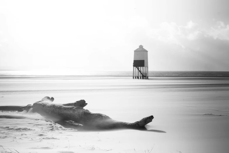 a black and white photo of a dead animal on the beach, by Thomas Barker, unsplash, minimalism, lighthouse, ghostly figures, wooden structures, 1024x1024