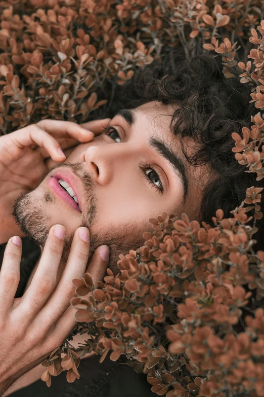 a man laying in a bed of flowers, by Cosmo Alexander, trending on pexels, square masculine facial features, on a tree, curls on top, asher duran