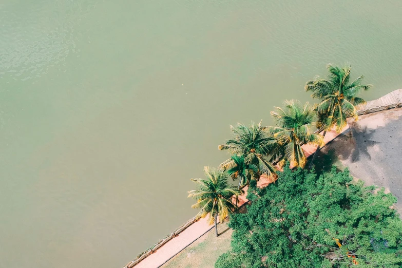 a group of palm trees next to a body of water, a screenshot, pexels contest winner, birdseye view, muted green, puerto rico, green and pink