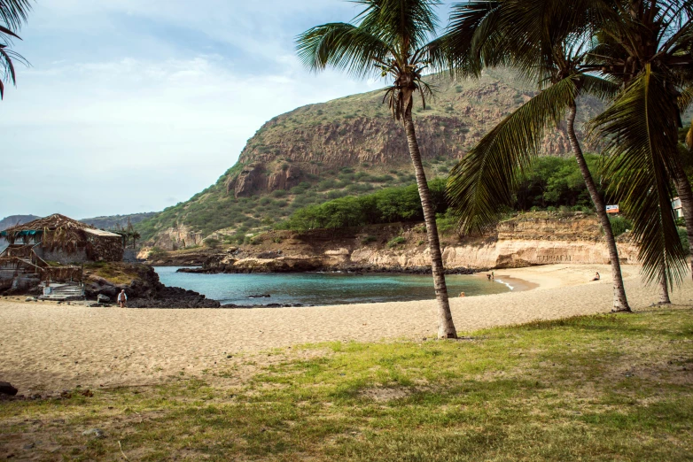 a sandy beach with palm trees in the foreground, a photo, pexels contest winner, plein air, trees and cliffs, hawaii beach, a cozy, brown