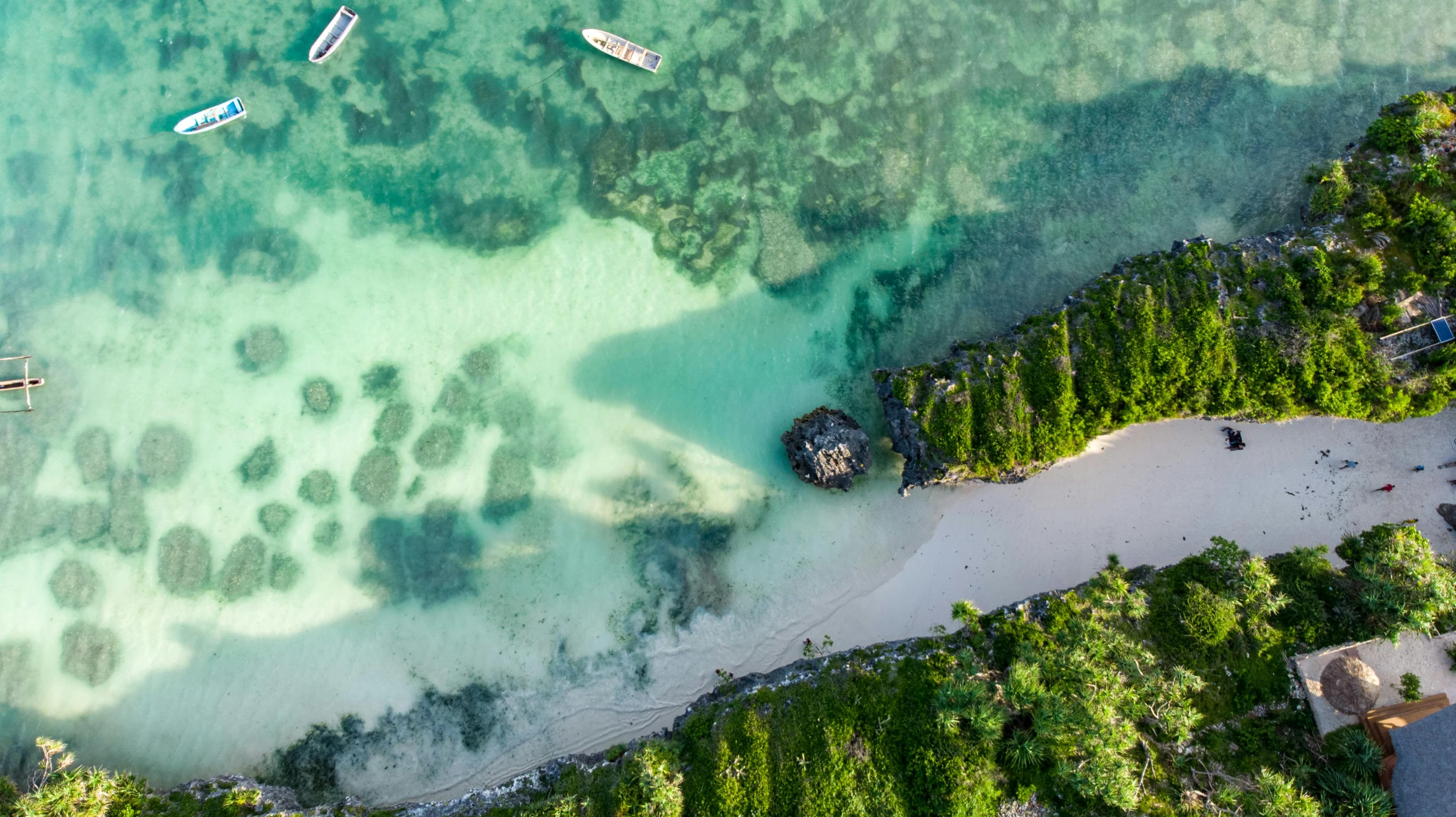 a group of boats floating on top of a body of water, a screenshot, by Simon Marmion, pexels contest winner, beach and tropical vegetation, aerial, madagascar, crystal clear neon water