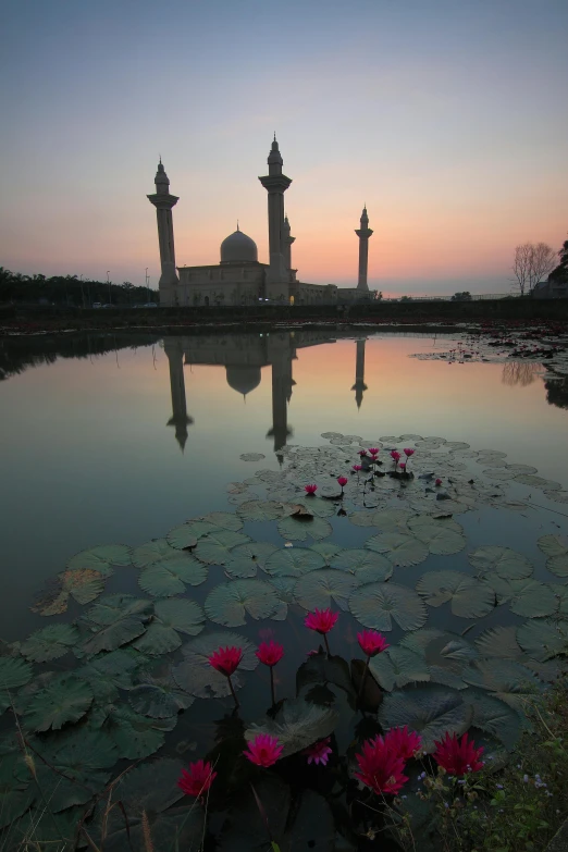 a body of water with a mosque in the background, by Basuki Abdullah, with lotus flowers, at dawn, circular towers, taken in the late 2010s