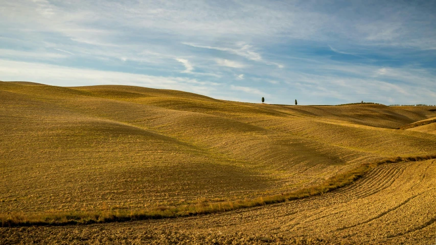 a couple of people standing on top of a hill, by Peter Churcher, pexels contest winner, renaissance, immense wheat fields, cypress trees, slide show, crisp lines