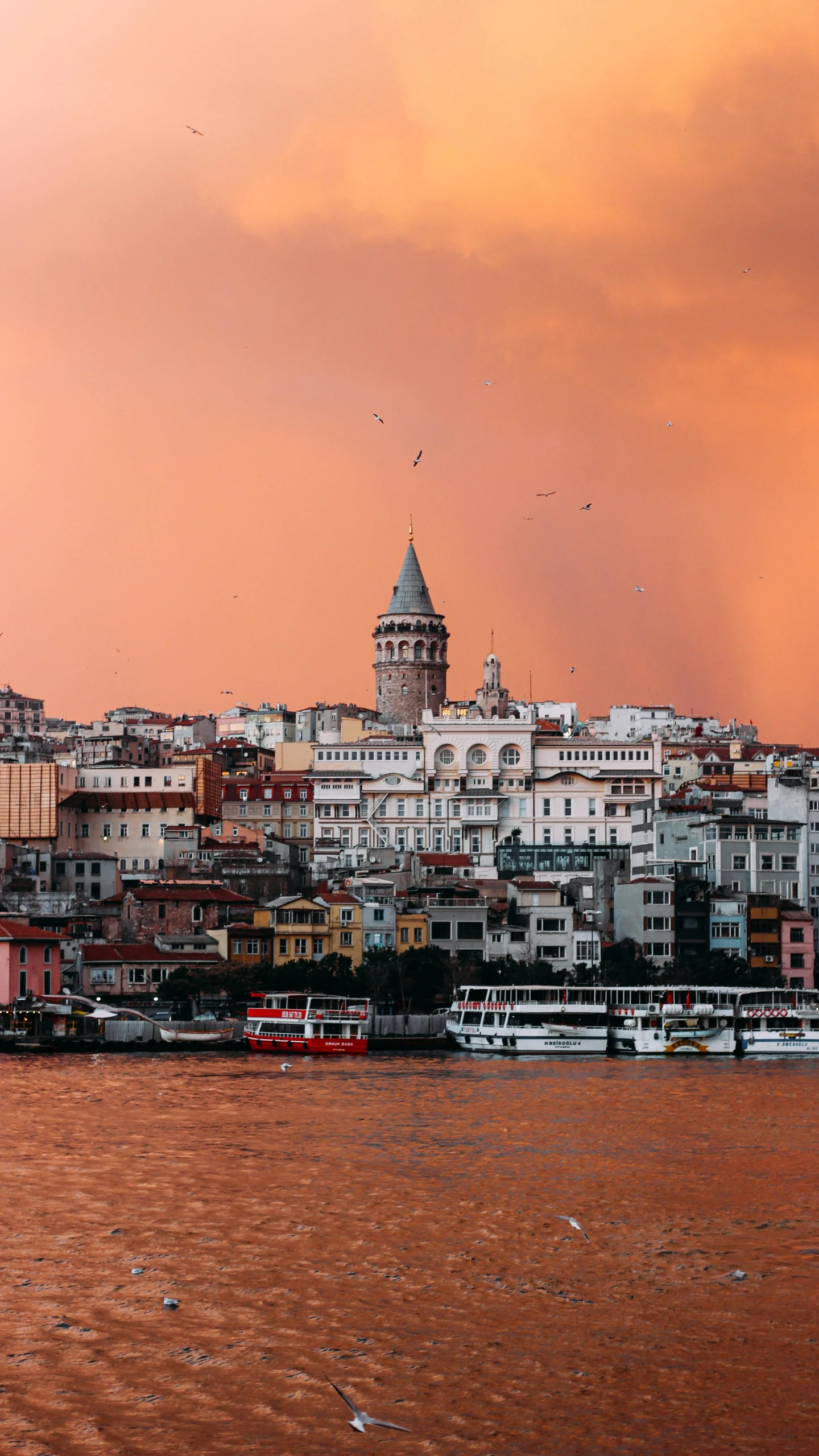 a large body of water with a city in the background, a colorized photo, by irakli nadar, pexels contest winner, turkey, square, slide show, crimson themed